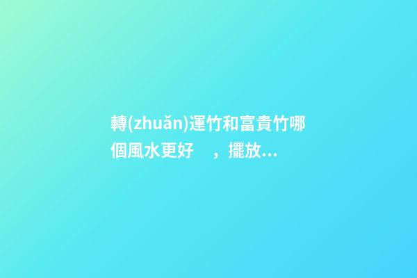 轉(zhuǎn)運竹和富貴竹哪個風水更好，擺放竹子的講究
